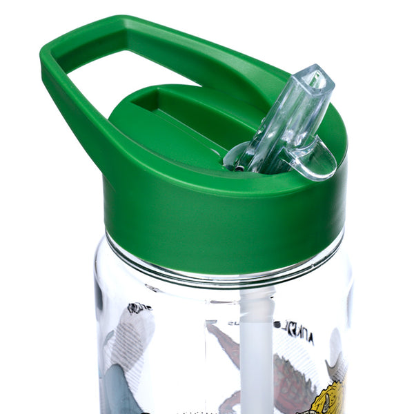 Dinosauria Water Bottle