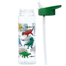 Dinosauria Water Bottle