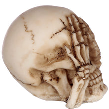 See No, Hear No, Speak No Evil Skulls Set