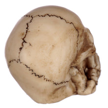 See No, Hear No, Speak No Evil Skulls Set