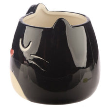 Feline Fine Black Cat Mug