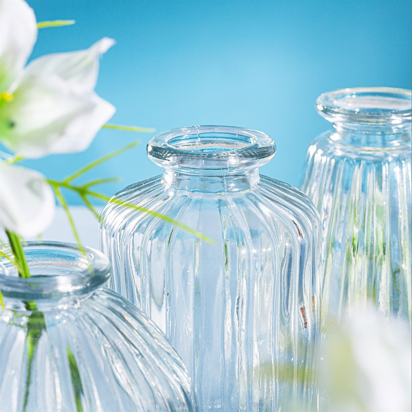 Plain Glass Bud Vases Set